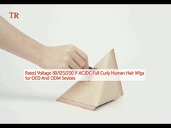 정압 60/125/250V AC/DC OED 및 ODM 서비스용 풀 커리 인머리 패이크